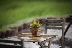 planta verde em uma panela em uma mesa na chuva foto