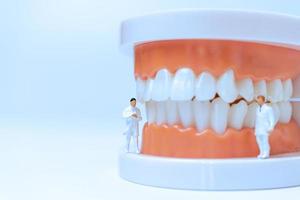 miniaturas de dentistas observando e discutindo dentes humanos foto
