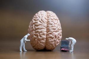 pessoas em miniatura trabalhando em um cérebro