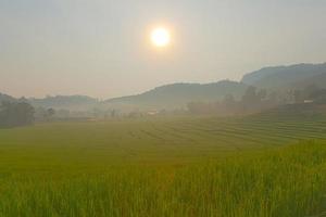 campo de arroz na colina foto