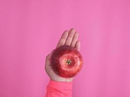 maçã vermelha madura em uma mão feminina em um fundo rosa foto