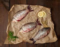 peixe crucian fresco inteiro com escamas em um pedaço de papel marrom amassado foto