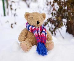 velho ursinho de pelúcia em um cachecol senta-se na neve branca foto