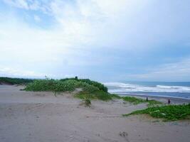 água turquesa, ondas brancas, céu azul, grama verde, areia branca, bela praia e bela ilha, sayang heulang garut, vista panorâmica foto