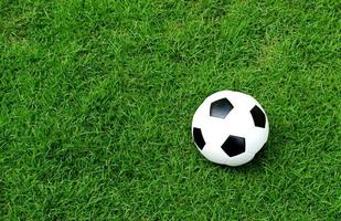bola de futebol no gramado foto