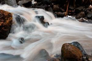 a beleza de um riacho que flui em uma área rural em bali. foto