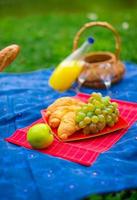 cesta de piquenique com frutas, pão e garrafa de vinho branco foto