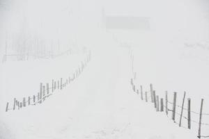 uma abundante nevasca nos cárpatos romenos na aldeia de sirnea, brasov. inverno real com neve no país foto