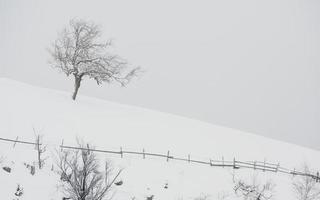 uma abundante nevasca nos cárpatos romenos na aldeia de sirnea, brasov. inverno real com neve no país foto