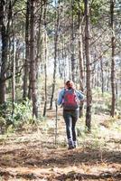 traseira de mulheres caminhando com mochila por uma floresta de pinheiros foto