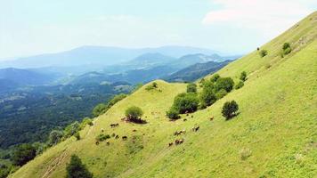 lugar mais lindo do mundo foto