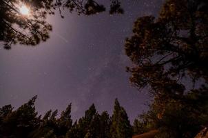 estrelas à noite foto