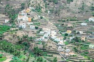 terraços cultivados com edifícios foto