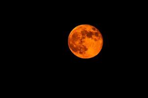 lua vermelha à noite foto
