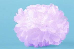 flor de papel rosa em um fundo azul foto