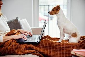 mulher trabalhando em casa com seu cachorro foto