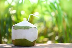 bebida suco de coco fresco bebendo coco jovem em fundo verde natureza verão foto