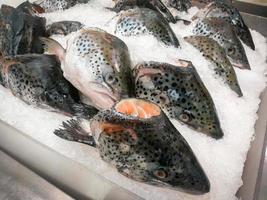 cabeça de salmão fresco no gelo no mercado de peixe foto