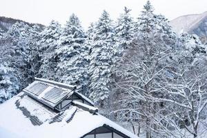 neve pesada na vila de heike no sato na prefeitura de tochigi, nikko city, japão foto