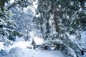 neve pesada na vila de heike no sato na prefeitura de tochigi, nikko city, japão foto