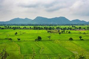 paisagem de arroz de campo verde com fundo de montanha foto