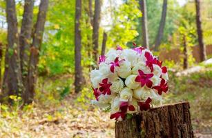 buquê de noiva com orquídeas brancas, rosas foto