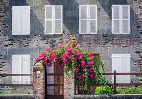 linda casa de construção de pedra de tijolo estilo francês vintage com flores de primavera e decoração de cortinas de janela branca na região da bretanha, noroeste da frança foto