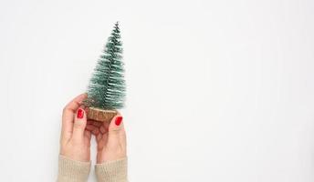mãos femininas segurando uma pequena árvore de natal decorativa isolada no fundo branco foto