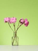 vidro transparente vaso com uma ramalhete do Rosa algodão flores em uma branco mesa, verde fundo foto