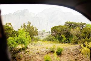 aberto janela para verde natureza em carro Tour por aí nacional parque. Vashlovani nacional parque protegido áreas flora e fauna dentro geórgia foto