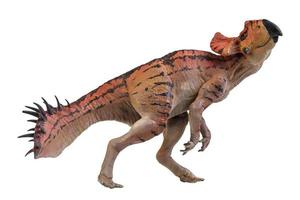 protoceratops, dinossauro em fundo isolado foto