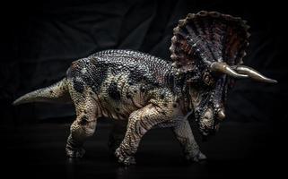 dinossauro, triceratops no escuro foto