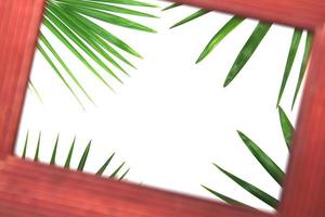 moldura e folhas de palmeira foto