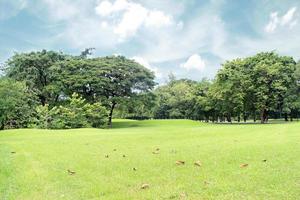 gramado verde e árvores em um parque foto