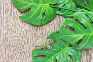folhas de palmeira monstera verde brilhante na madeira foto