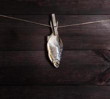 salgado peixe crucian suspensão em uma corda foto
