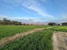 bela paisagem rural com lindo céu noturno gradiente ao pôr do sol. campo verde e aldeia foto