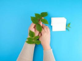 fêmea mão segurando branco esvaziar papel o negócio cartão e fresco verde folhas foto