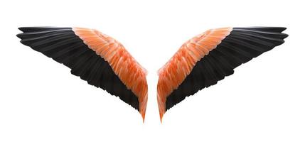 asas de anjo isoladas em fundo branco foto