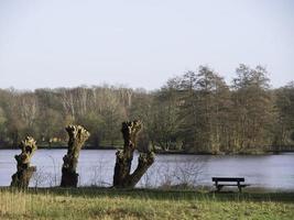 lago dentro a alemão Munsterland foto