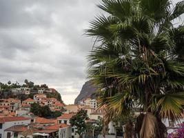 funchal e a ilha do Madeira foto