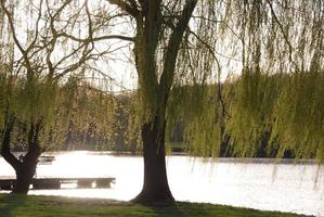 lago dentro a alemão Munsterland foto