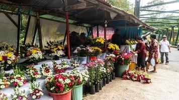 tomohon, indonésia, dezembro de 2022, uma movimentada floricultura antes do ano novo foto