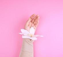 fêmea mão segurando florescendo branco clematis broto em uma Rosa fundo foto