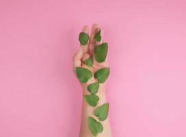 fêmea mão e fresco verde folhas do uma plantar em uma Rosa fundo foto