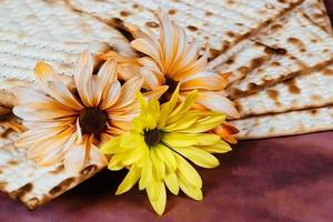 conceito de celebração de pesah feriado de páscoa judaica foto