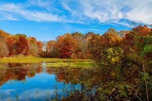 paisagem de outono. com floresta colorida. foto