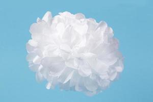 flor branca feita de papel branco fino sobre um fundo azul. foto