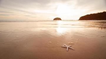 estrelas do mar de praia mar e areia verão montanhas fundo. foto