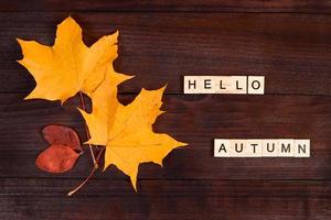 Olá outono. a inscrição a partir de de madeira cartas e caído folhas em Sombrio fundo. foto